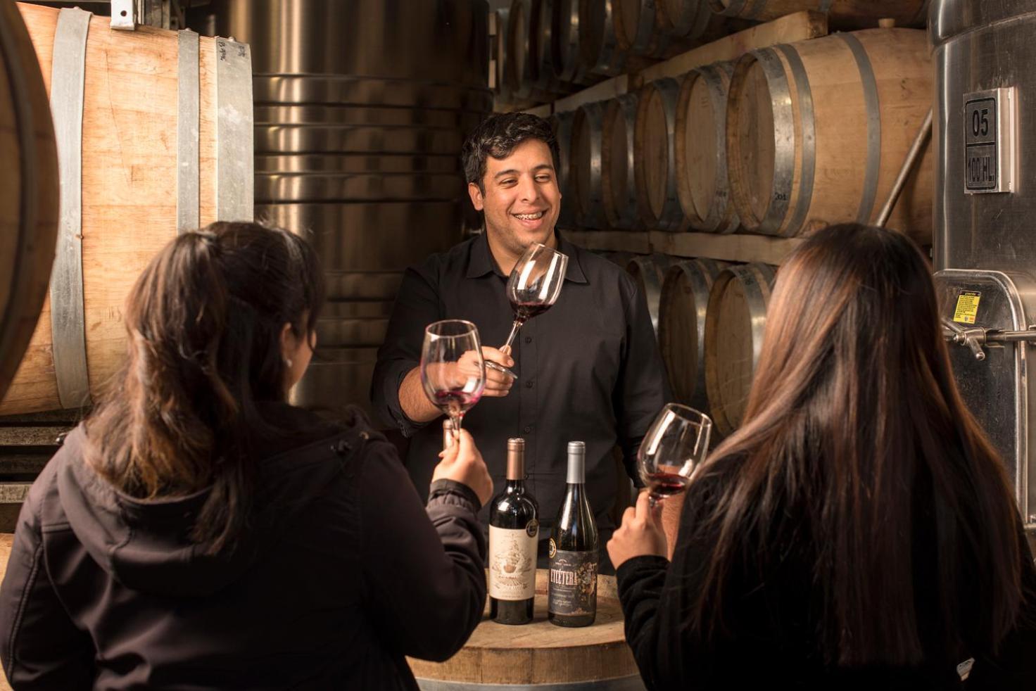 Postales Boutique Winery Hotel - Valle De Uco Colonia Las Rosas Екстер'єр фото