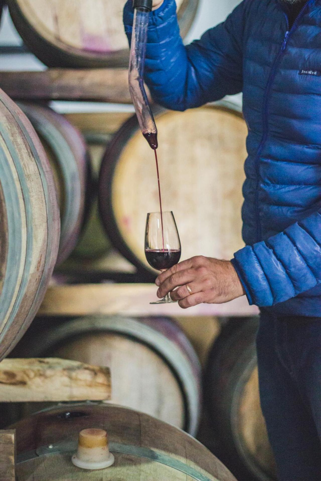 Postales Boutique Winery Hotel - Valle De Uco Colonia Las Rosas Екстер'єр фото