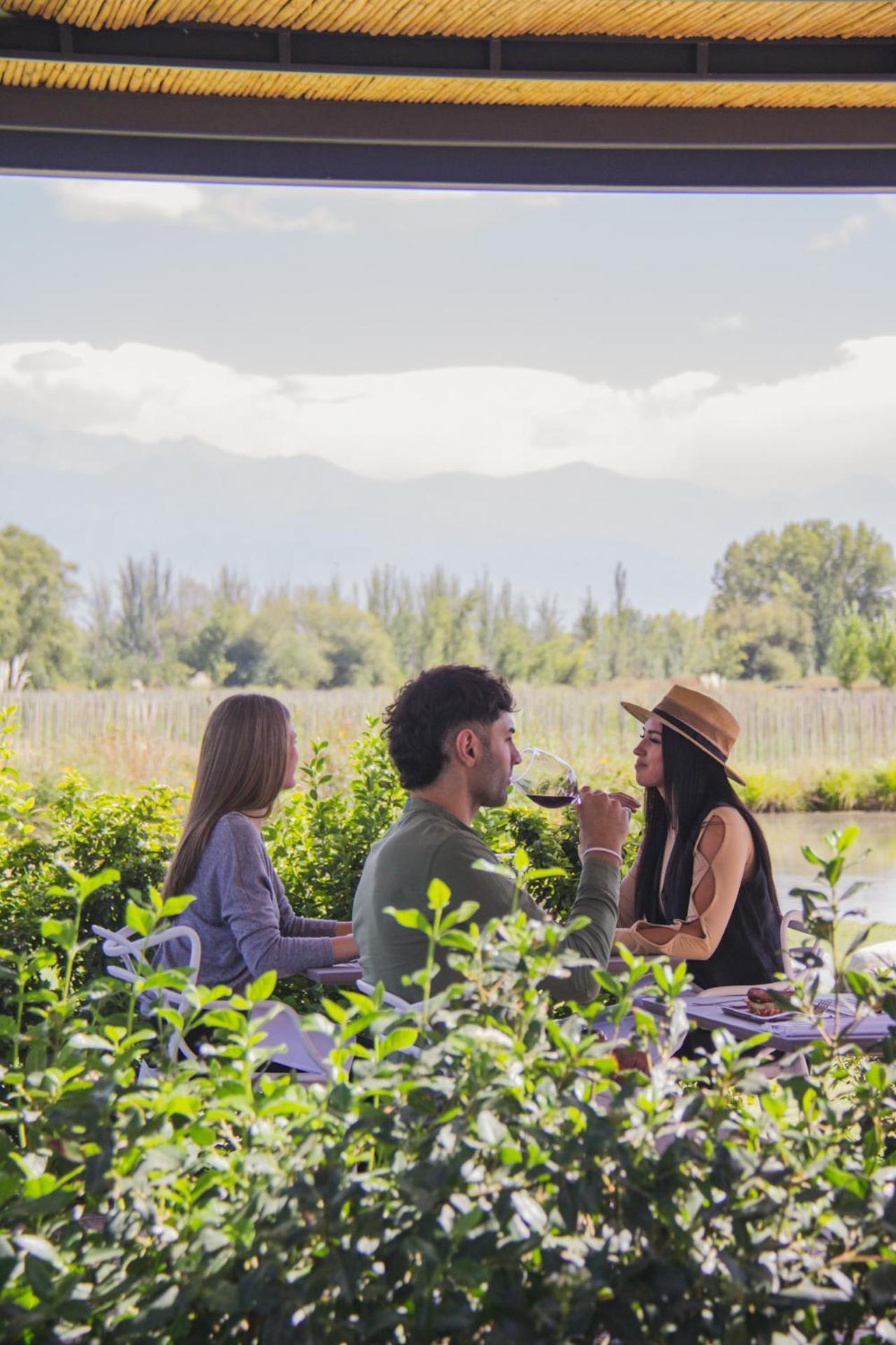 Postales Boutique Winery Hotel - Valle De Uco Colonia Las Rosas Екстер'єр фото
