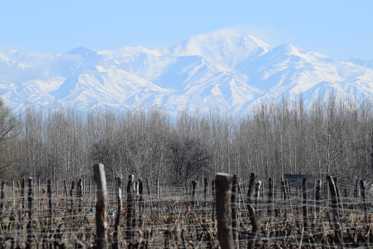 Postales Boutique Winery Hotel - Valle De Uco Colonia Las Rosas Екстер'єр фото
