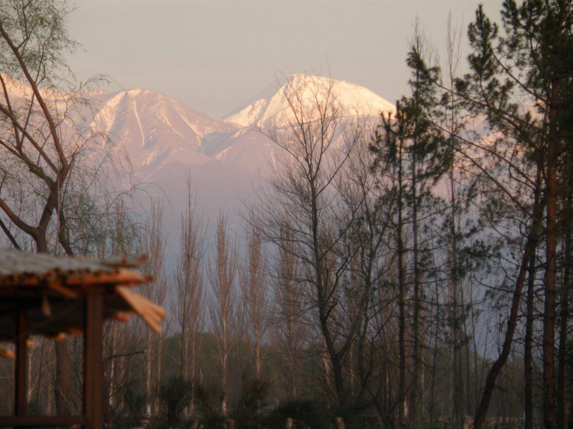 Postales Boutique Winery Hotel - Valle De Uco Colonia Las Rosas Екстер'єр фото