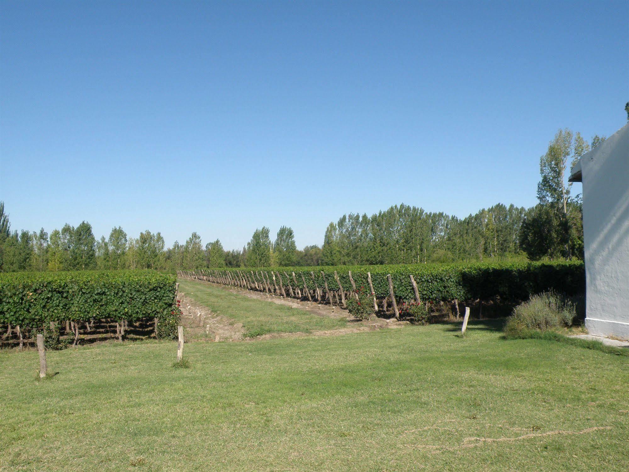Postales Boutique Winery Hotel - Valle De Uco Colonia Las Rosas Екстер'єр фото