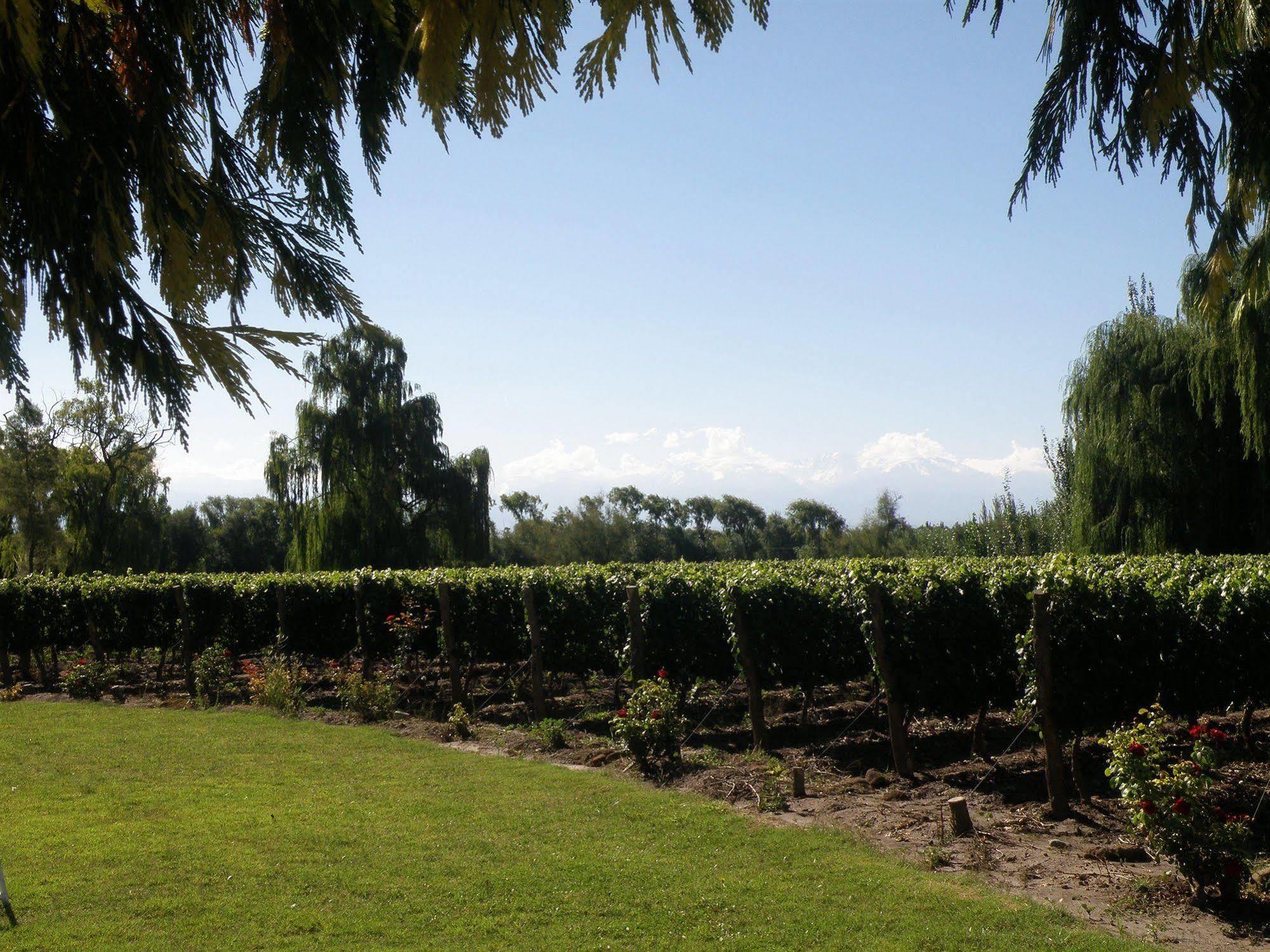 Postales Boutique Winery Hotel - Valle De Uco Colonia Las Rosas Екстер'єр фото