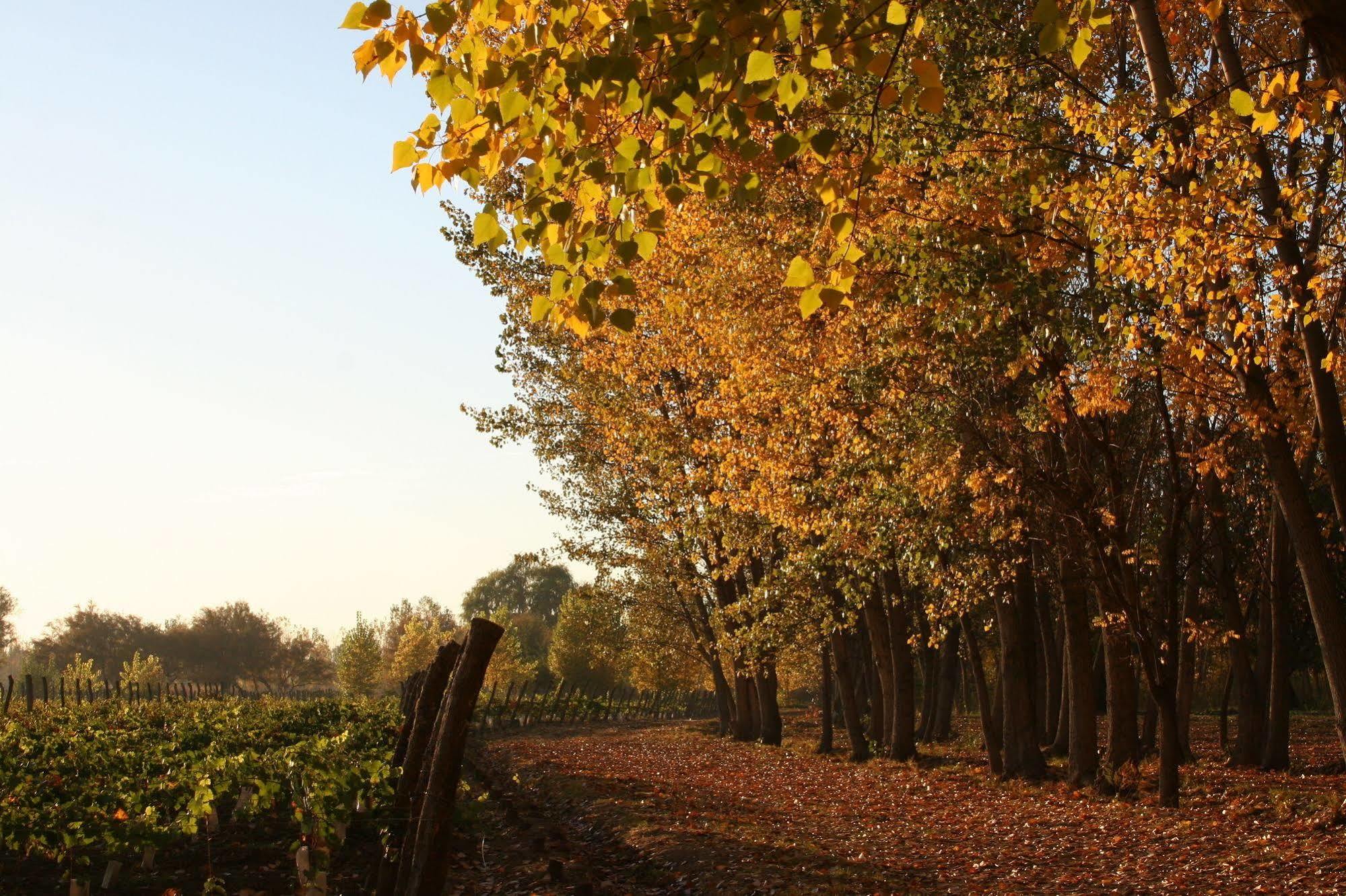Postales Boutique Winery Hotel - Valle De Uco Colonia Las Rosas Екстер'єр фото