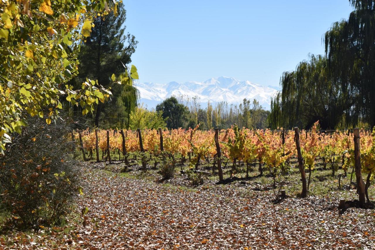 Postales Boutique Winery Hotel - Valle De Uco Colonia Las Rosas Екстер'єр фото