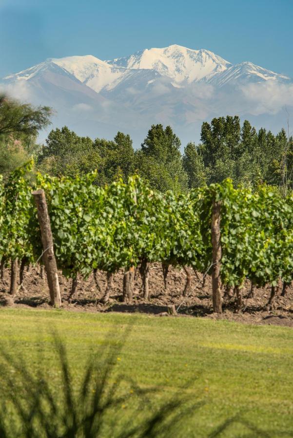 Postales Boutique Winery Hotel - Valle De Uco Colonia Las Rosas Екстер'єр фото