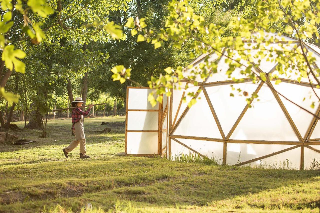 Postales Boutique Winery Hotel - Valle De Uco Colonia Las Rosas Екстер'єр фото