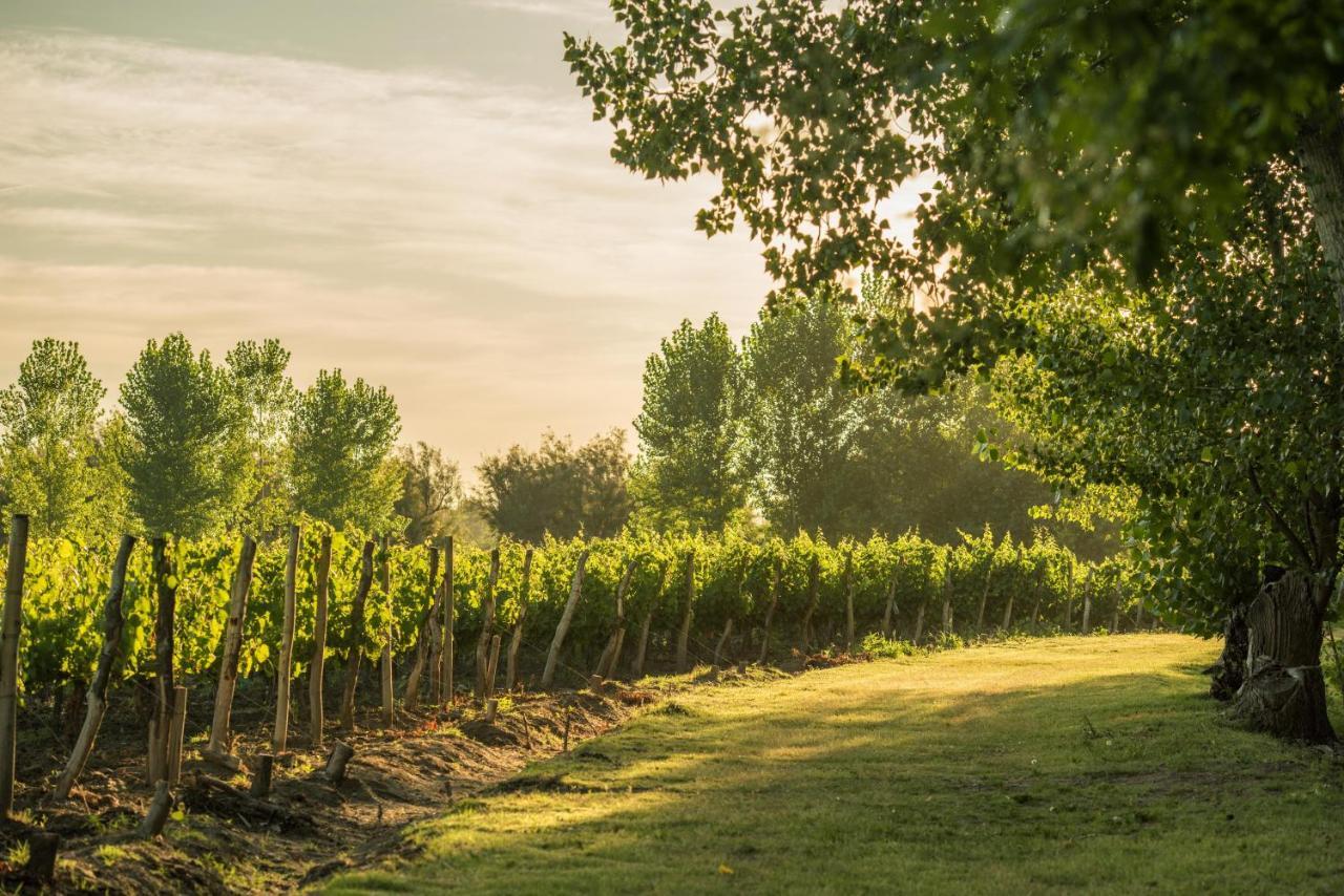 Postales Boutique Winery Hotel - Valle De Uco Colonia Las Rosas Екстер'єр фото